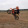 avatar of enduro mote