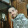 avatar of Denis Camarasa