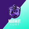 avatar of Mahmut Kurt