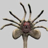 avatar of P M Draven