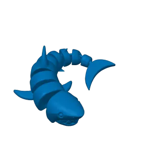 curled shark