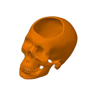 Skull plant pot