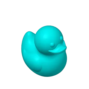 Valve Stem Duck