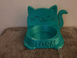 Storms bowl-3