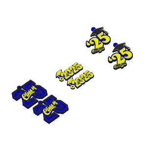 2025 Graduation Earrings