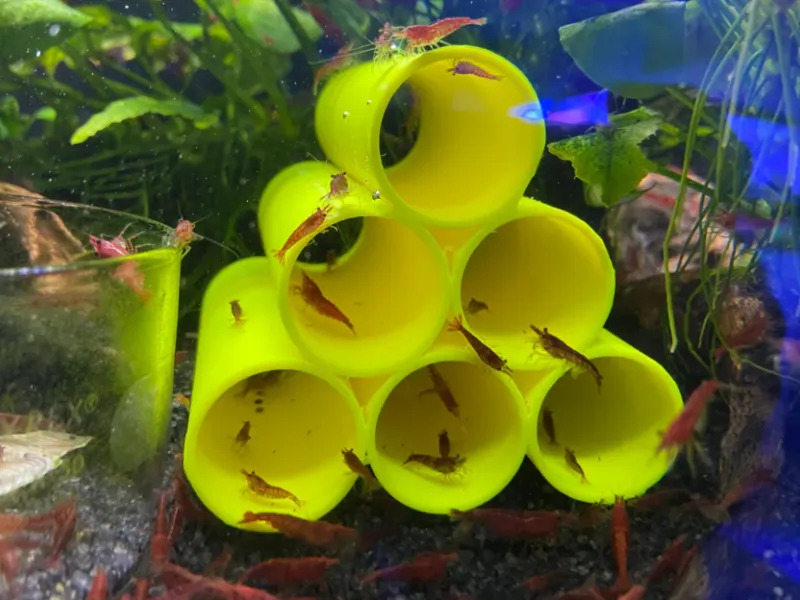 Aquarium Shrimp Tubes