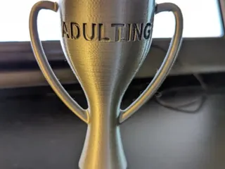 Adulting trophy