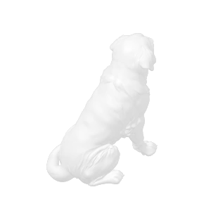 old dog mastiff / são Bernardo 
