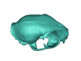 Cat Skull - Optimised for FDM printing-1