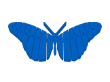 Butterfly-0