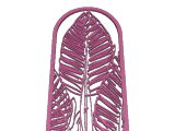 Plants-3