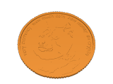 Doge coin front-0