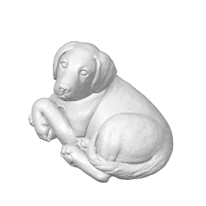 Dog1