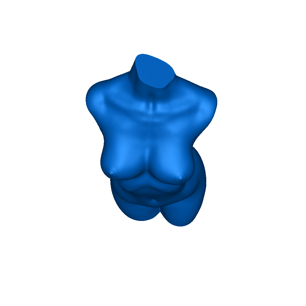 Woman Body for Vase mode