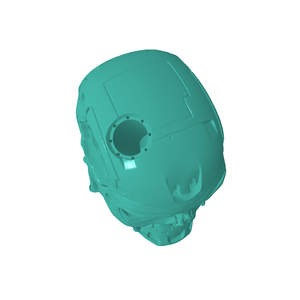 CPU skull