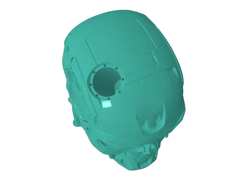 CPU skull