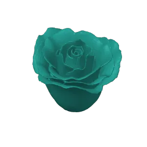 Rose top part 1 
