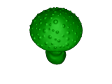 Mushroom collection-0