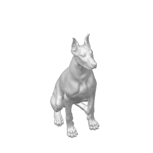Doberman