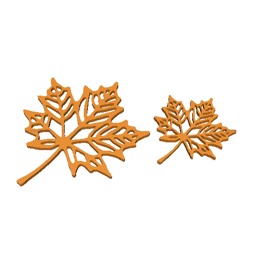 Maple leaf