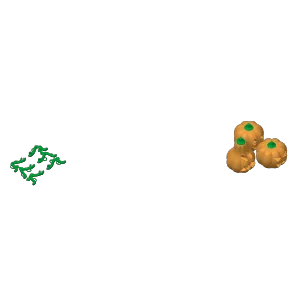 Tiny Crawling Pumpkins