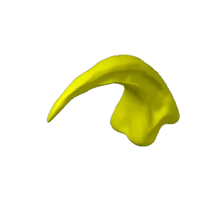 Raptor Claw