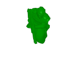 Hestattii-4