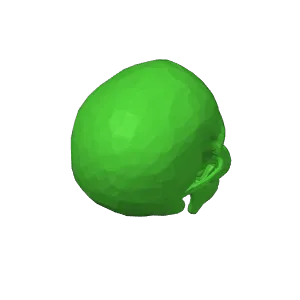Poly Skull