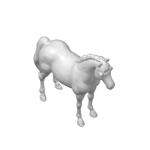 Calm horse