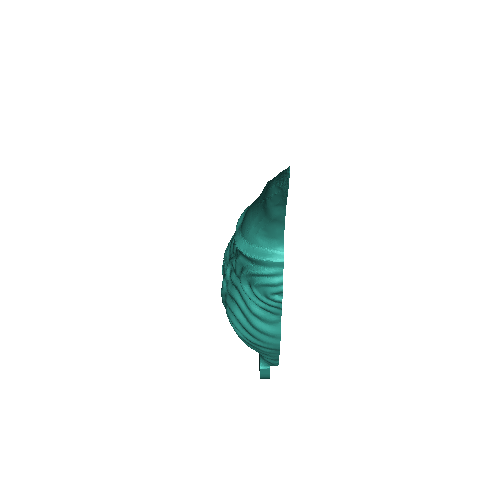 Claw