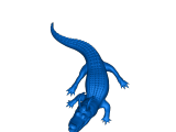 Alligator-0
