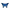 Pelvis