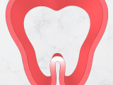 Tooth tall cookie cutter-1