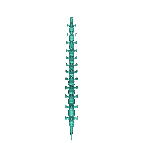 La colonna vertebrale non è mia