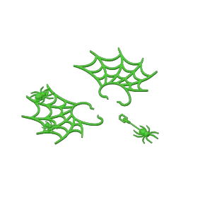 Spider web earring