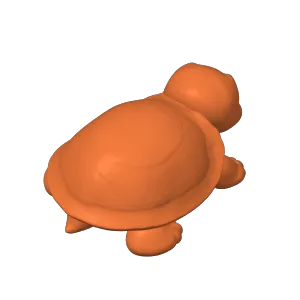 Cute Baby Turtle