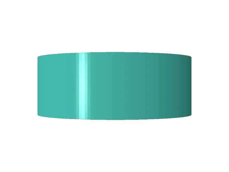 55 gallon Barrel plug