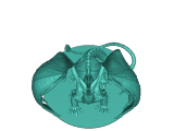 Dragon mini-0