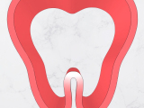 Tooth tall cookie cutter-0