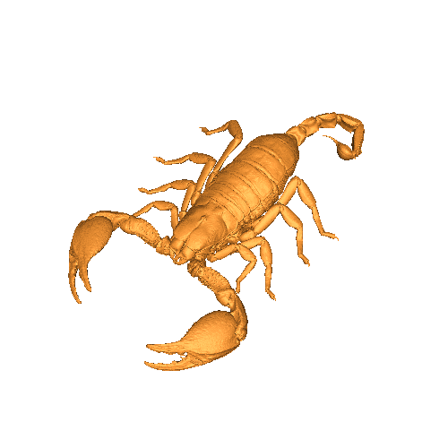 Scorpion