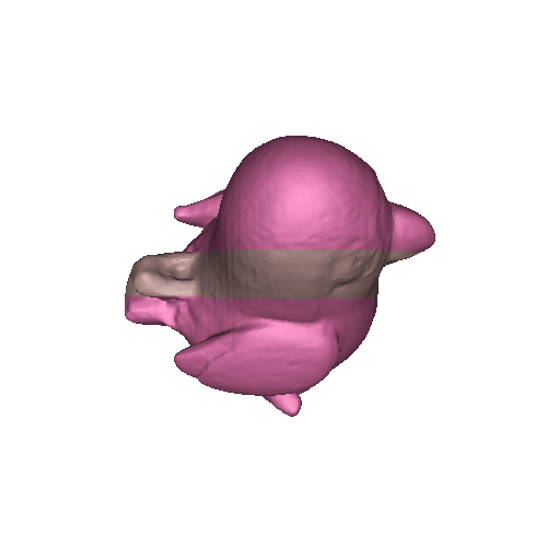 Cute Standing Bird (Luma AI-Generated)