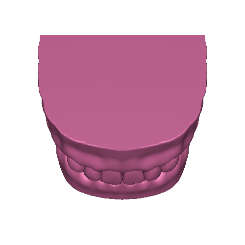 Human teeth model