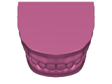 Human teeth model-0