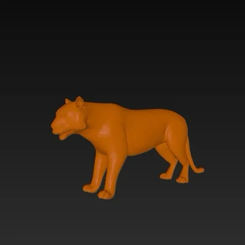 Tiger