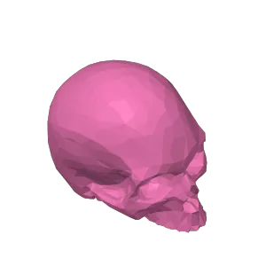 Skull Headphone Stand