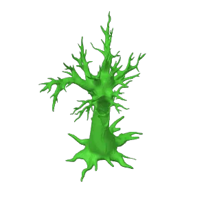 Spooky tree