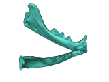Cat Skull - Optimised for FDM printing-0