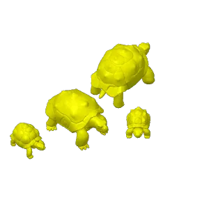 Land turtle