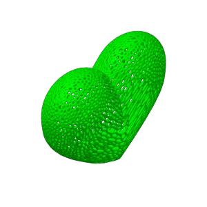 Voronoi Heart