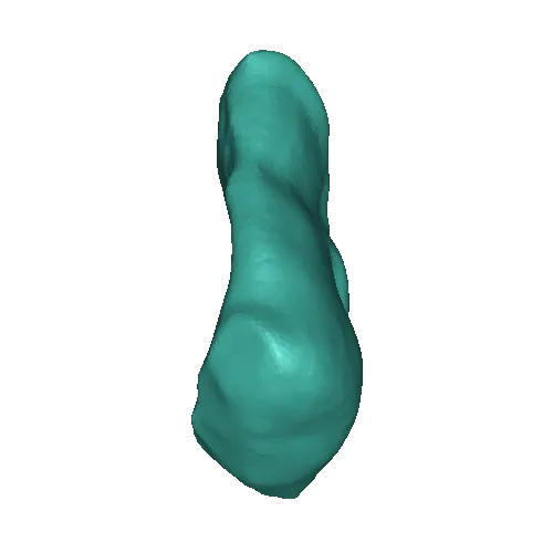 menschliche Leber